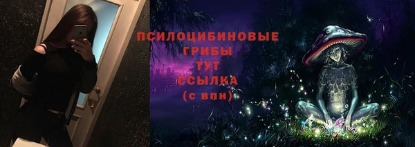 бошки Козельск