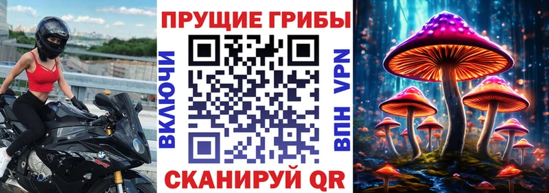 Псилоцибиновые грибы прущие грибы  Купить где  Верхняя Пышма 