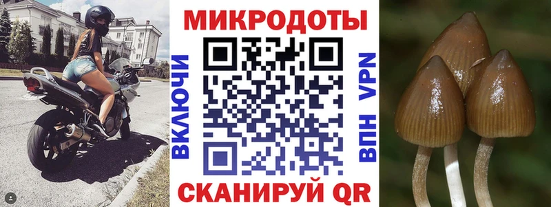 Галлюциногенные грибы прущие грибы Верхняя Пышма